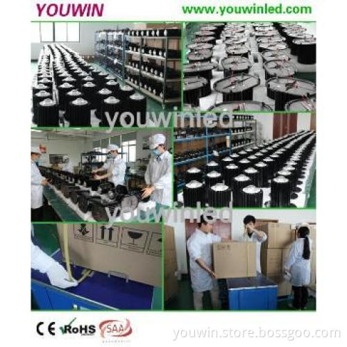 Shenzhen factory Industrial led high bay 30W